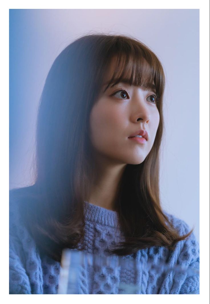 박보영