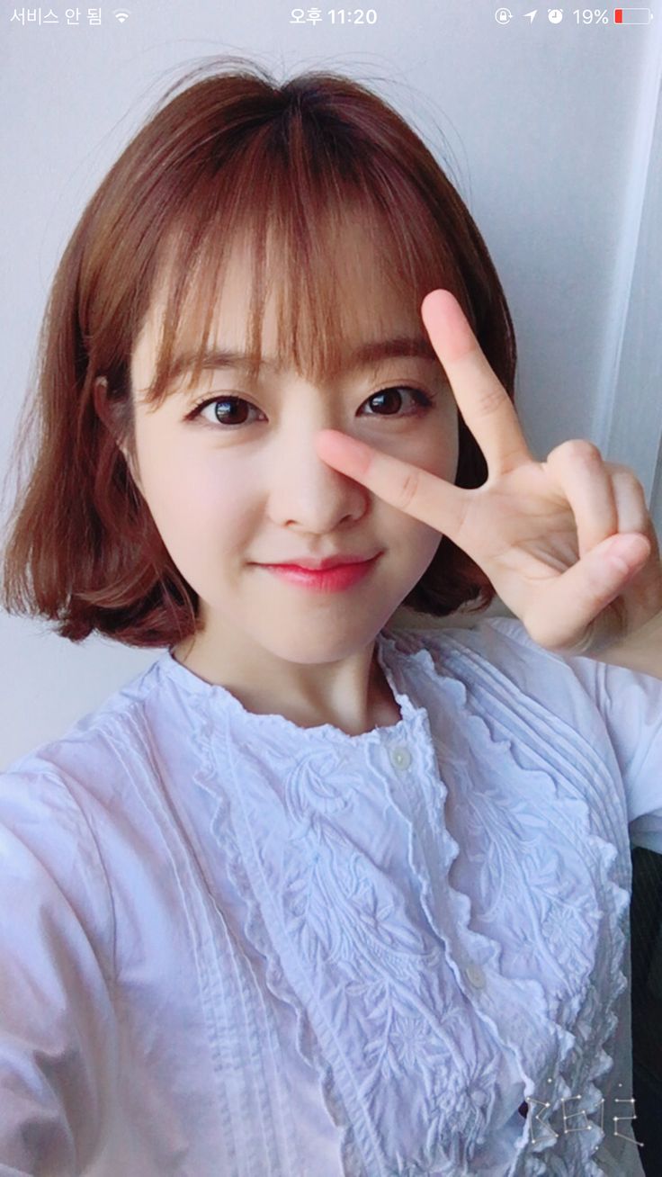 박보영