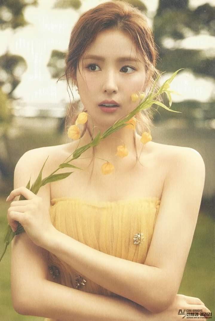 신세경